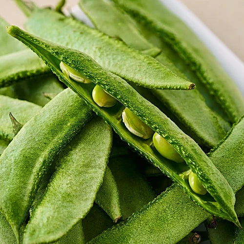 Flat Beans (Chikkudukaya)