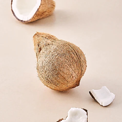 Coconut