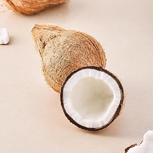 Coconut