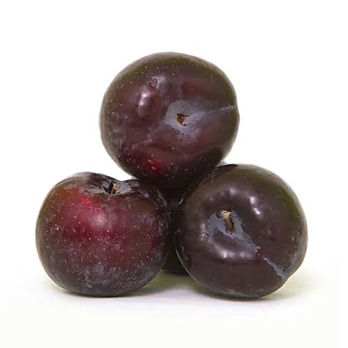 Plum