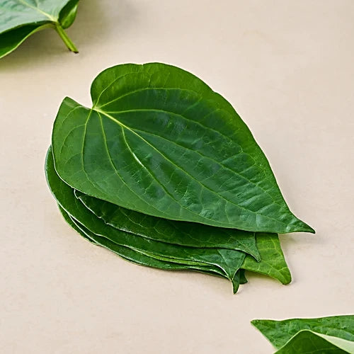 Fresh Pan Leaves