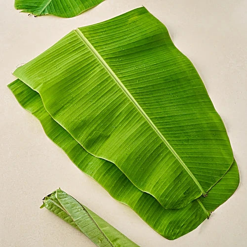 Fresh Banana Leaves