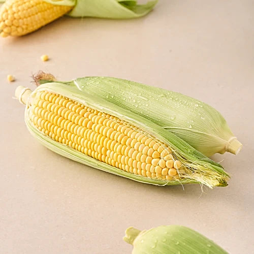 Sweetcorn