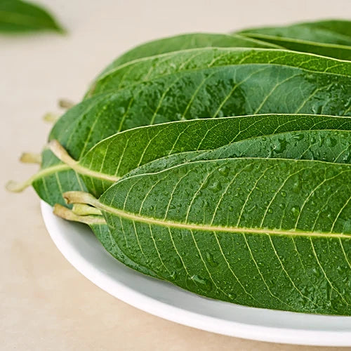 Mango Leaves