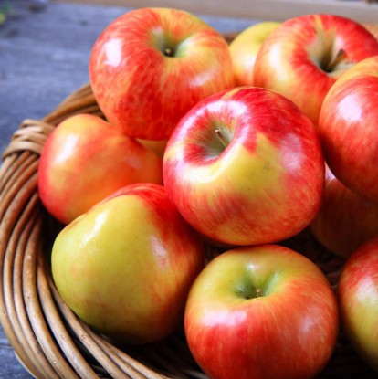 Honey Crisp Apple