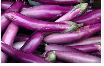 Chinese Eggplant