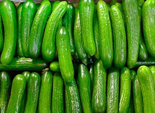 Persian/English Cucumbers