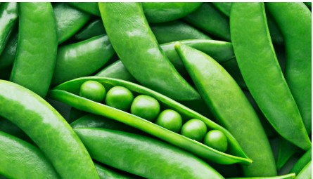 Fresh Green Peas