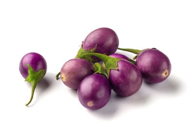 Brinjal (Indian Eggplant)
