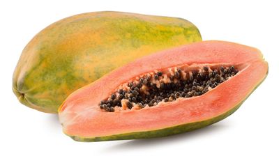 Papaya